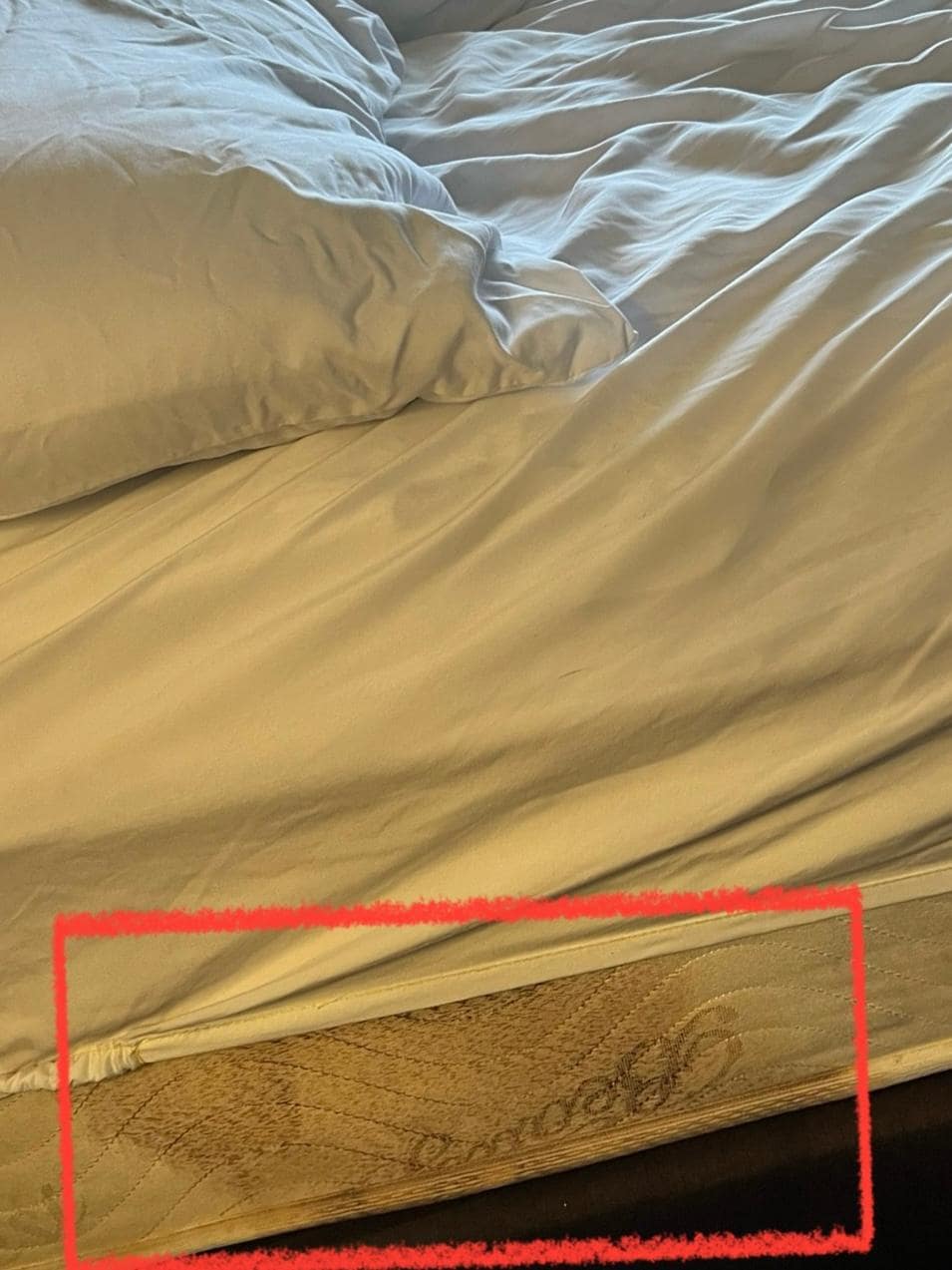 Looked like a big blood stain. 