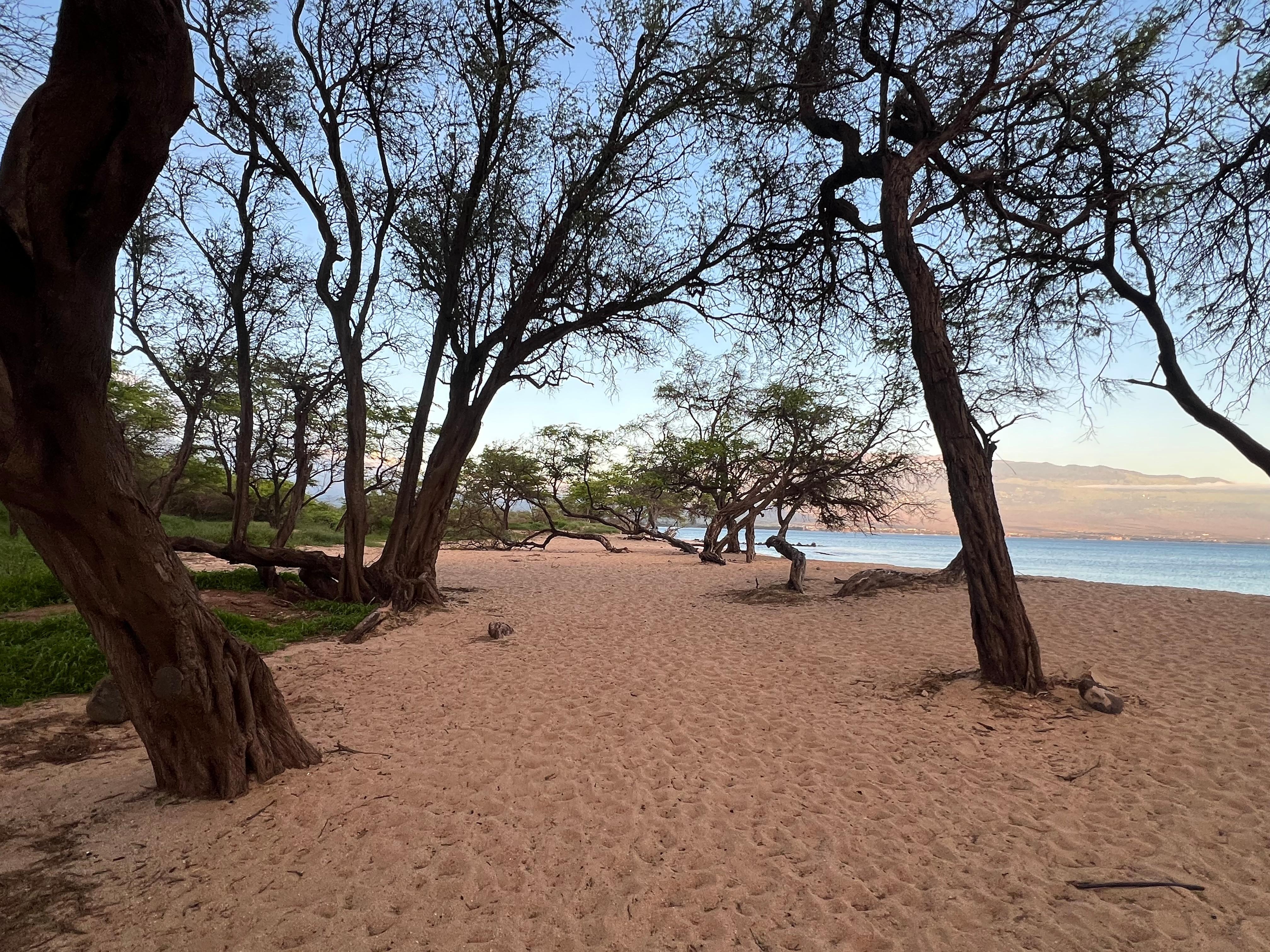 Beach park down the street