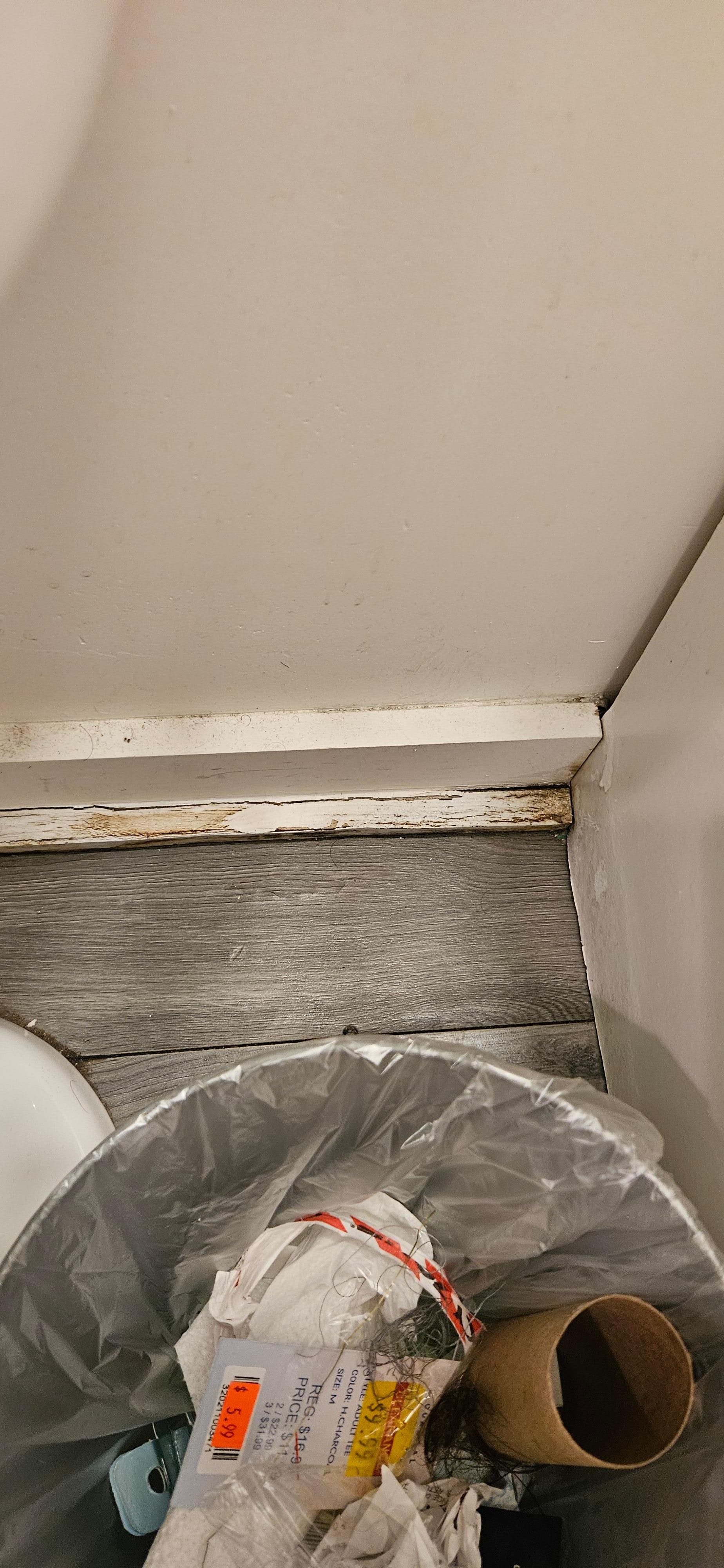 mold in hall bath