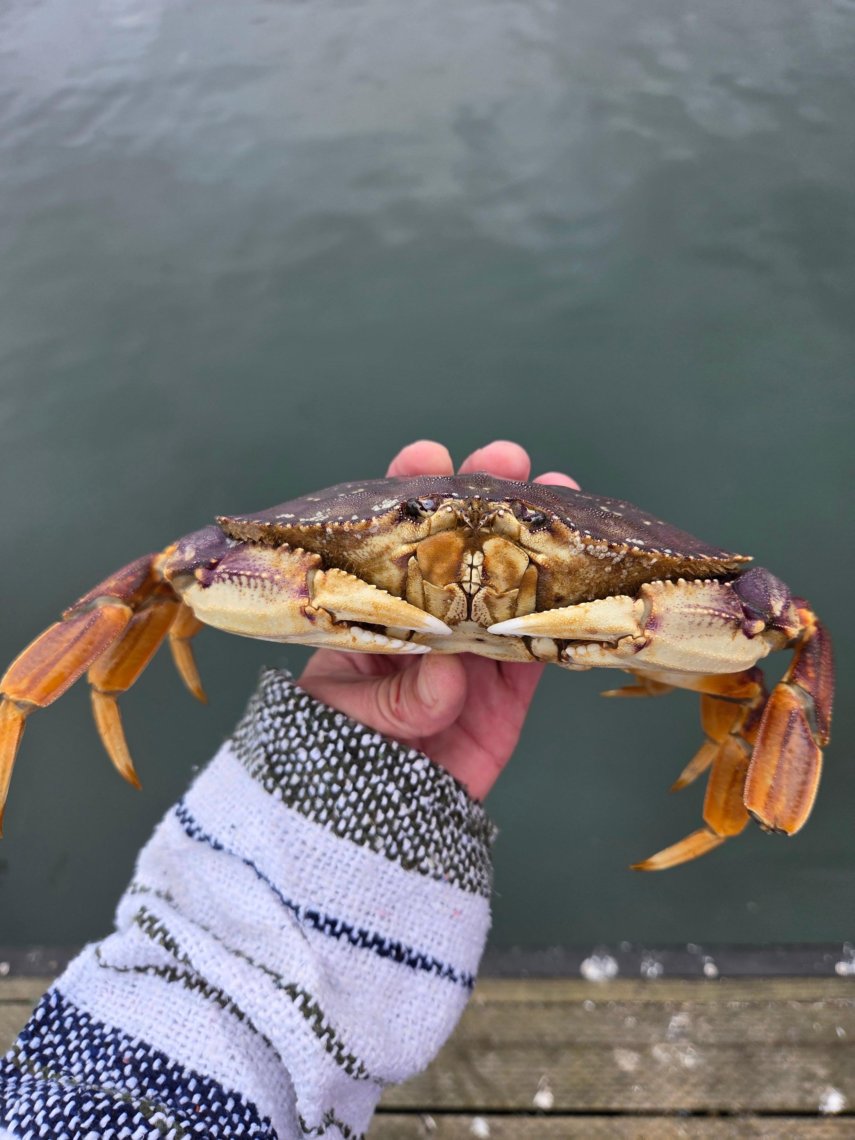 Crabbing!!!! Yum... 15 min drive from location