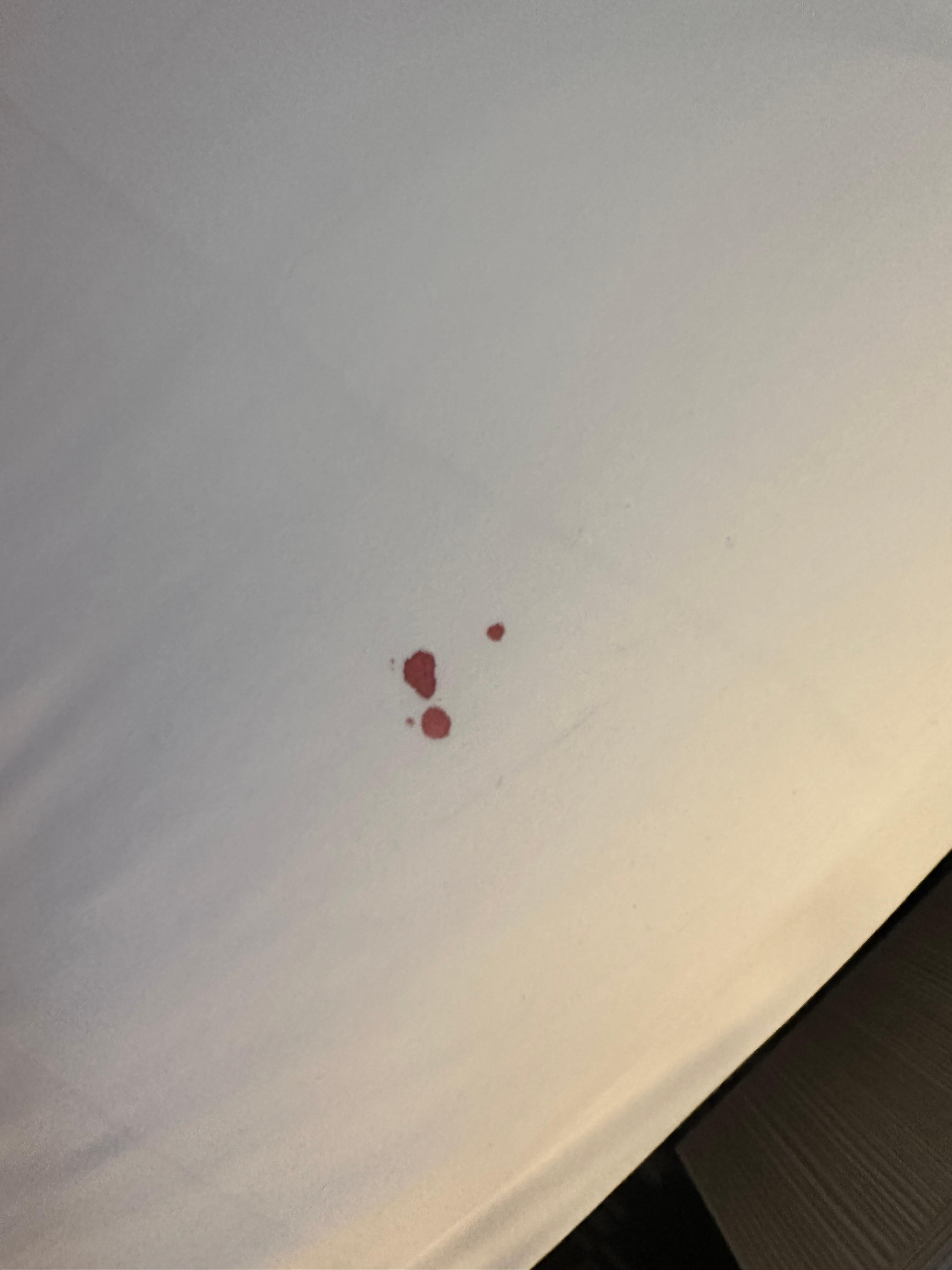 More blood comforter