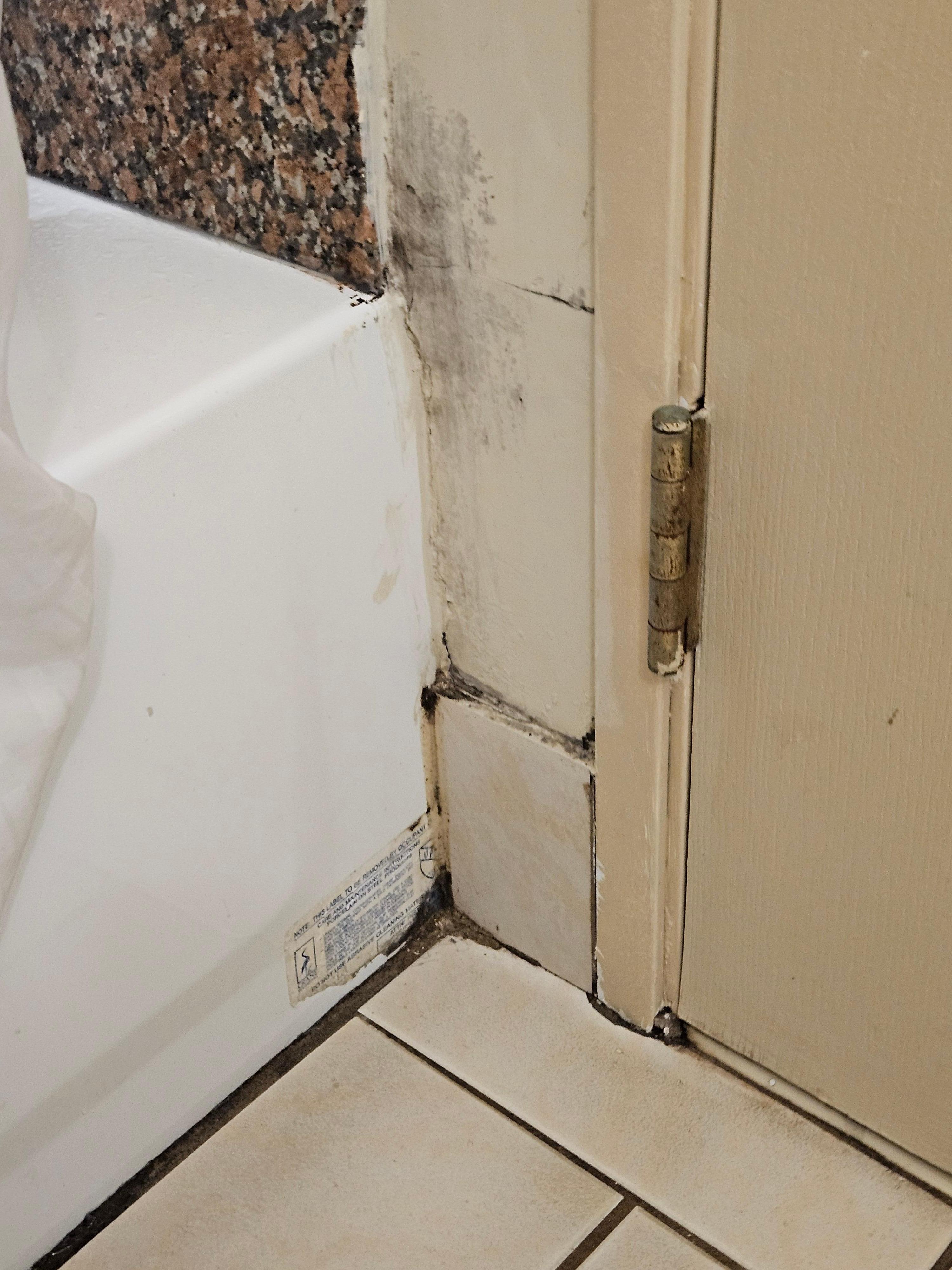 Mold on shower