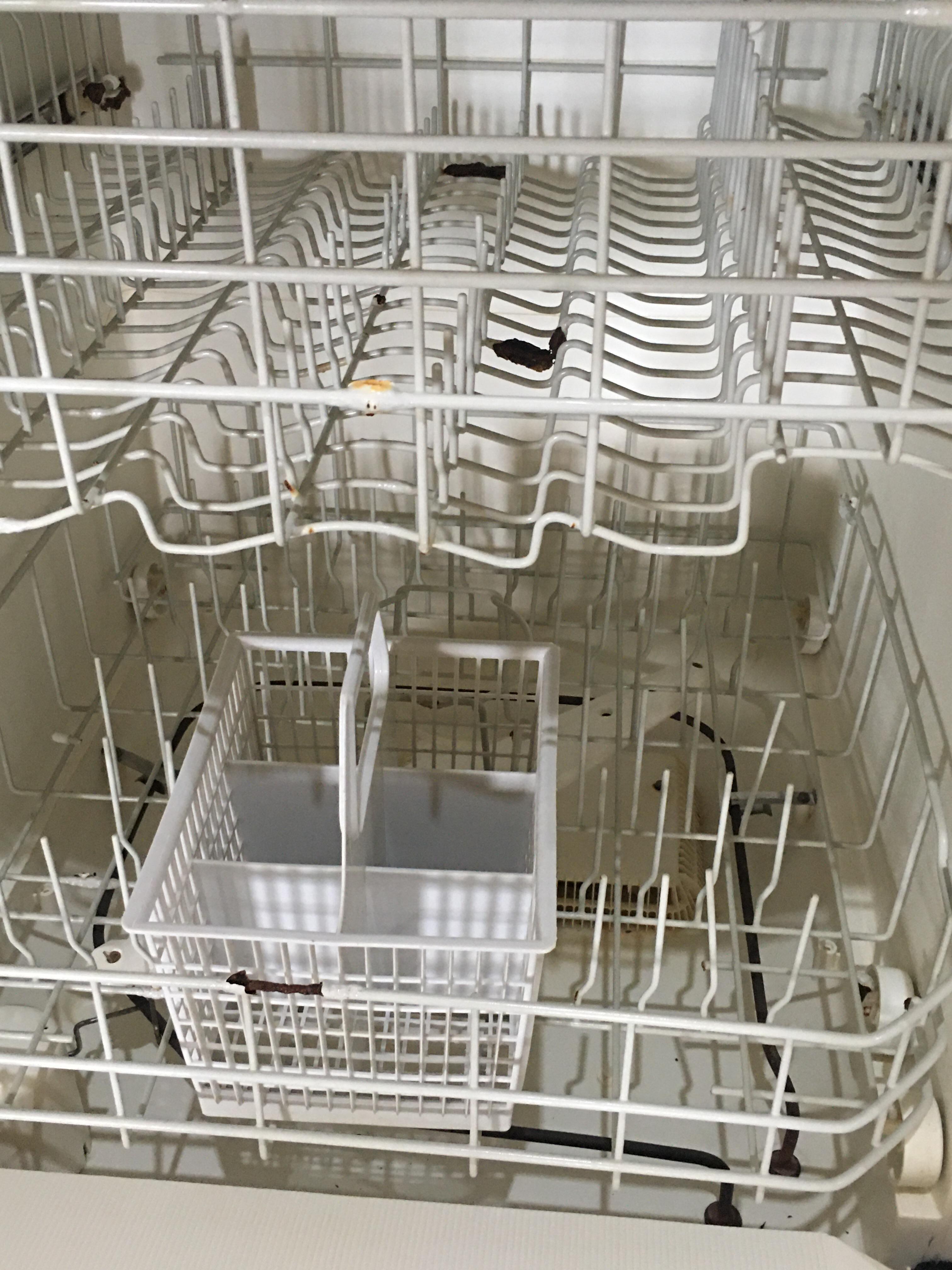 Dishwaser Inside - Rusted