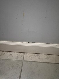 Mold along baseboards in kitchen