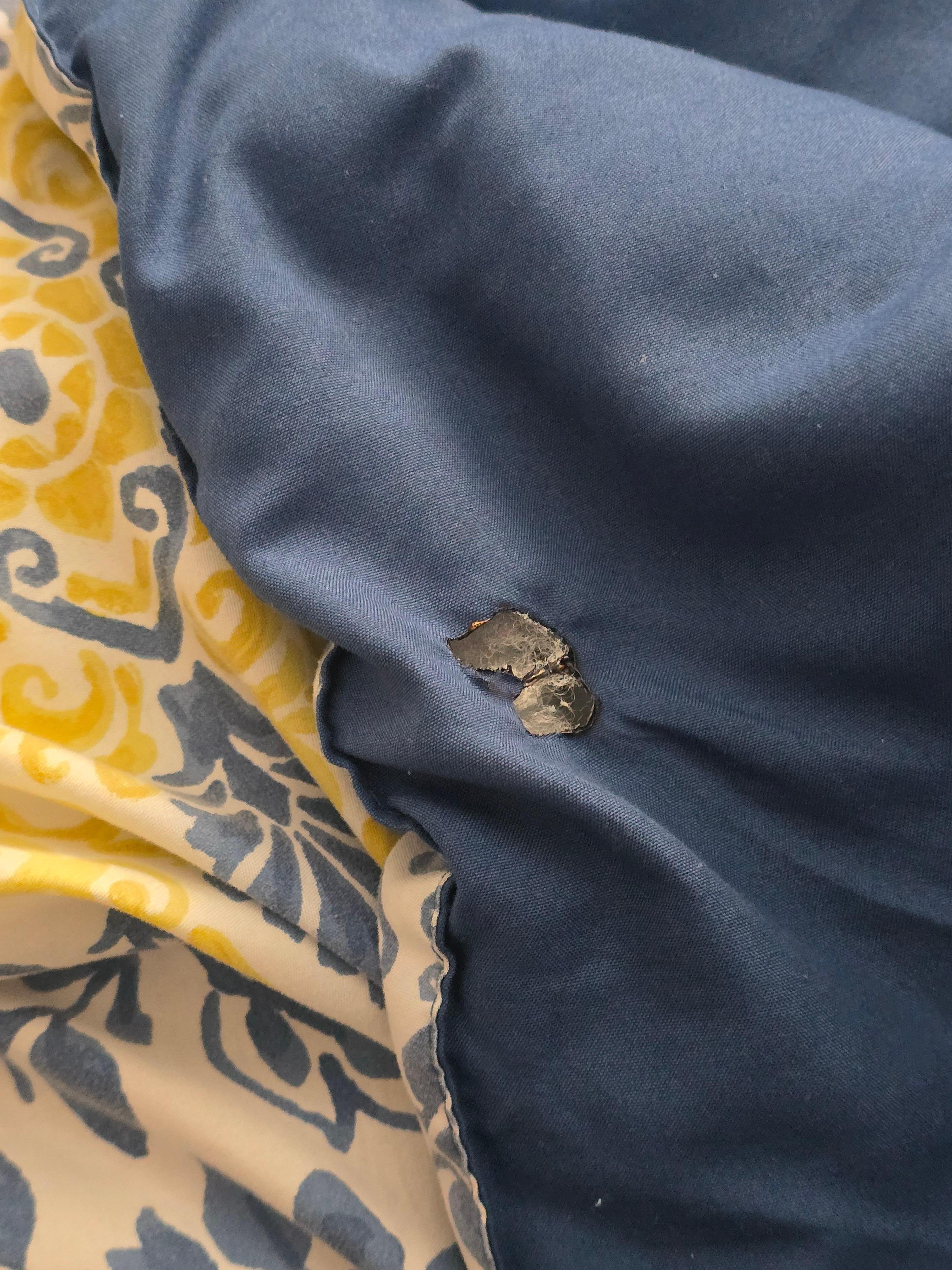Crusty stain on bedding.