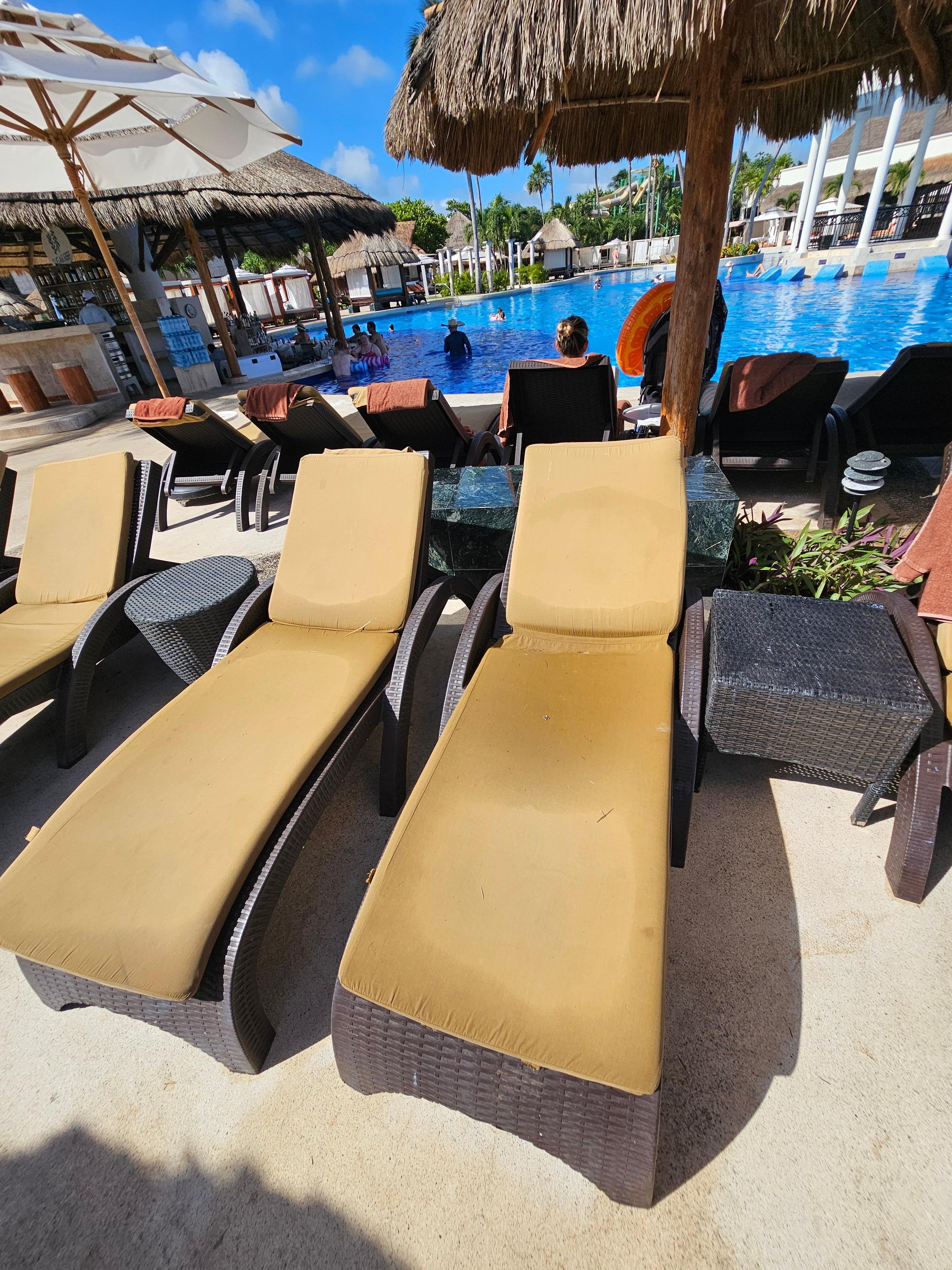 Stained chair cushions 