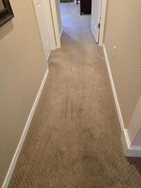Dirty and worn carpet