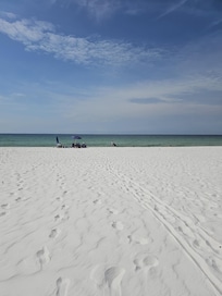 Wide open beach! Just what we needed with 5 kids to watch.