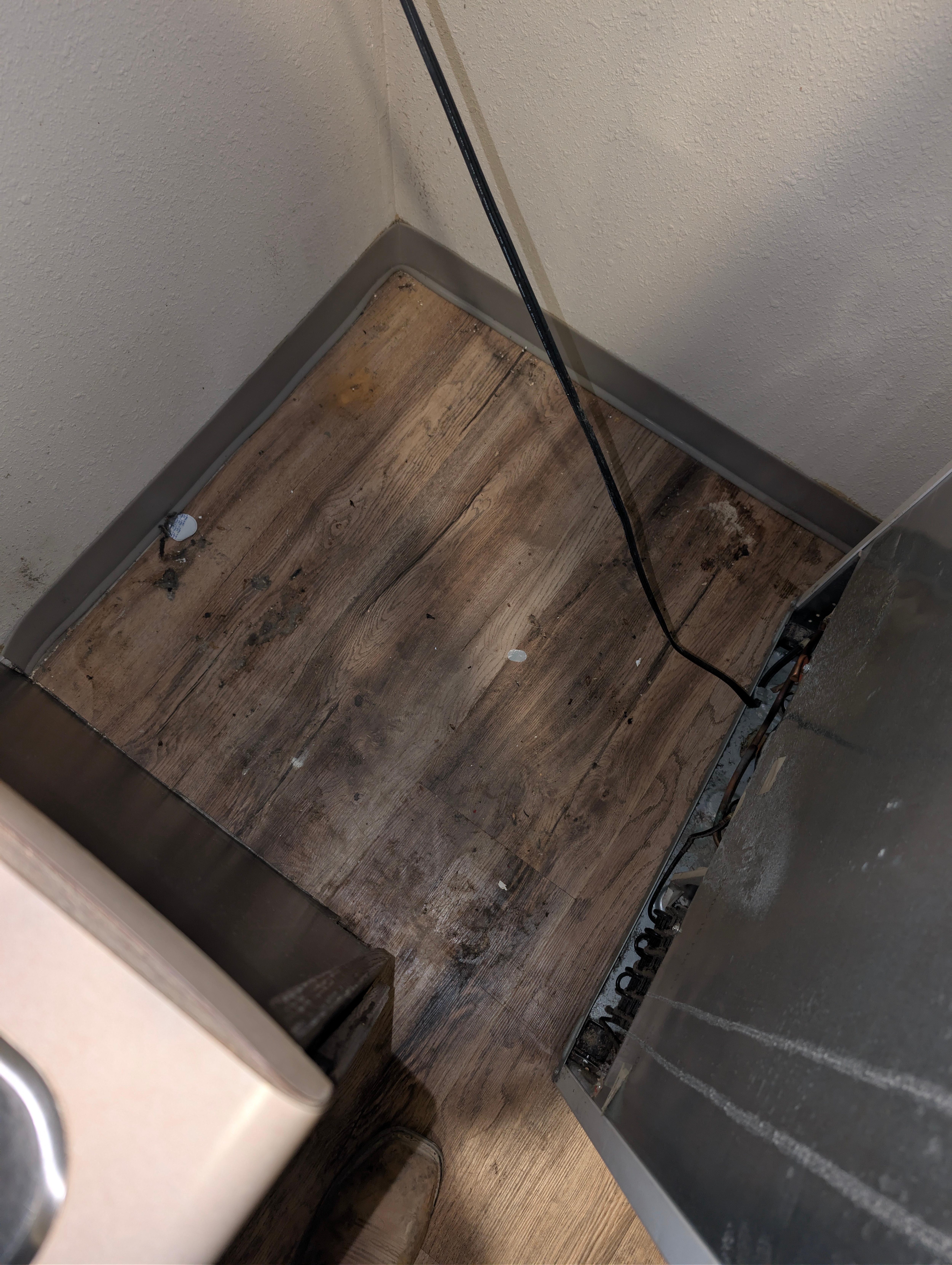 That's behind the refrigerator I had to get it out of its base to see where the bad smell came from and it was from there 