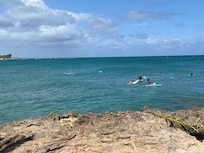 Surfers at Turtle Bay