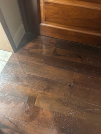 Woke up to a small pond in the front door on my way to the bathroom