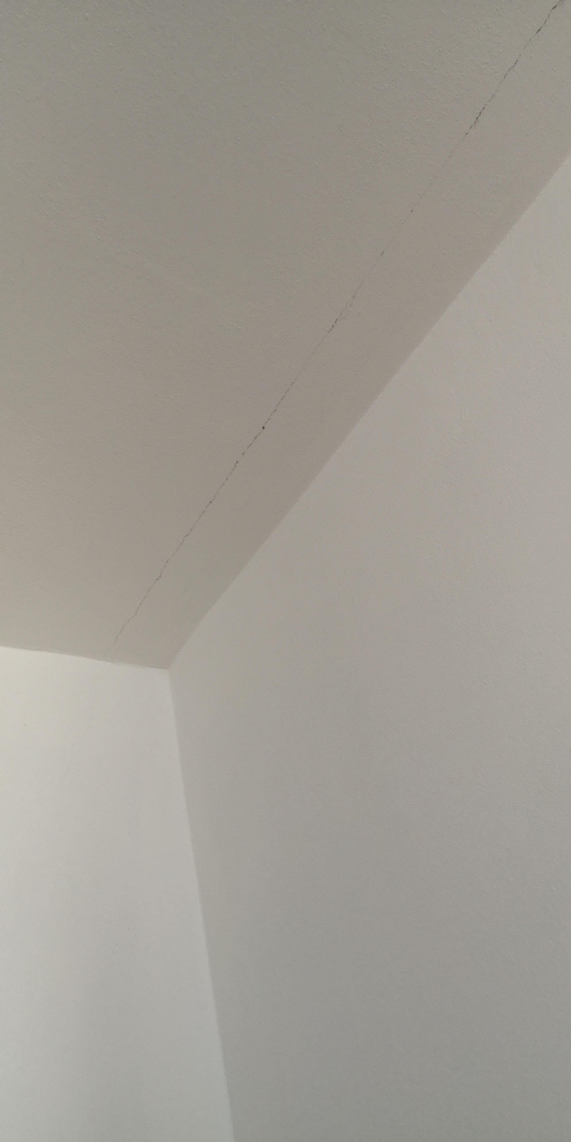 Lesione al soffitto...