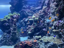 Zoo
