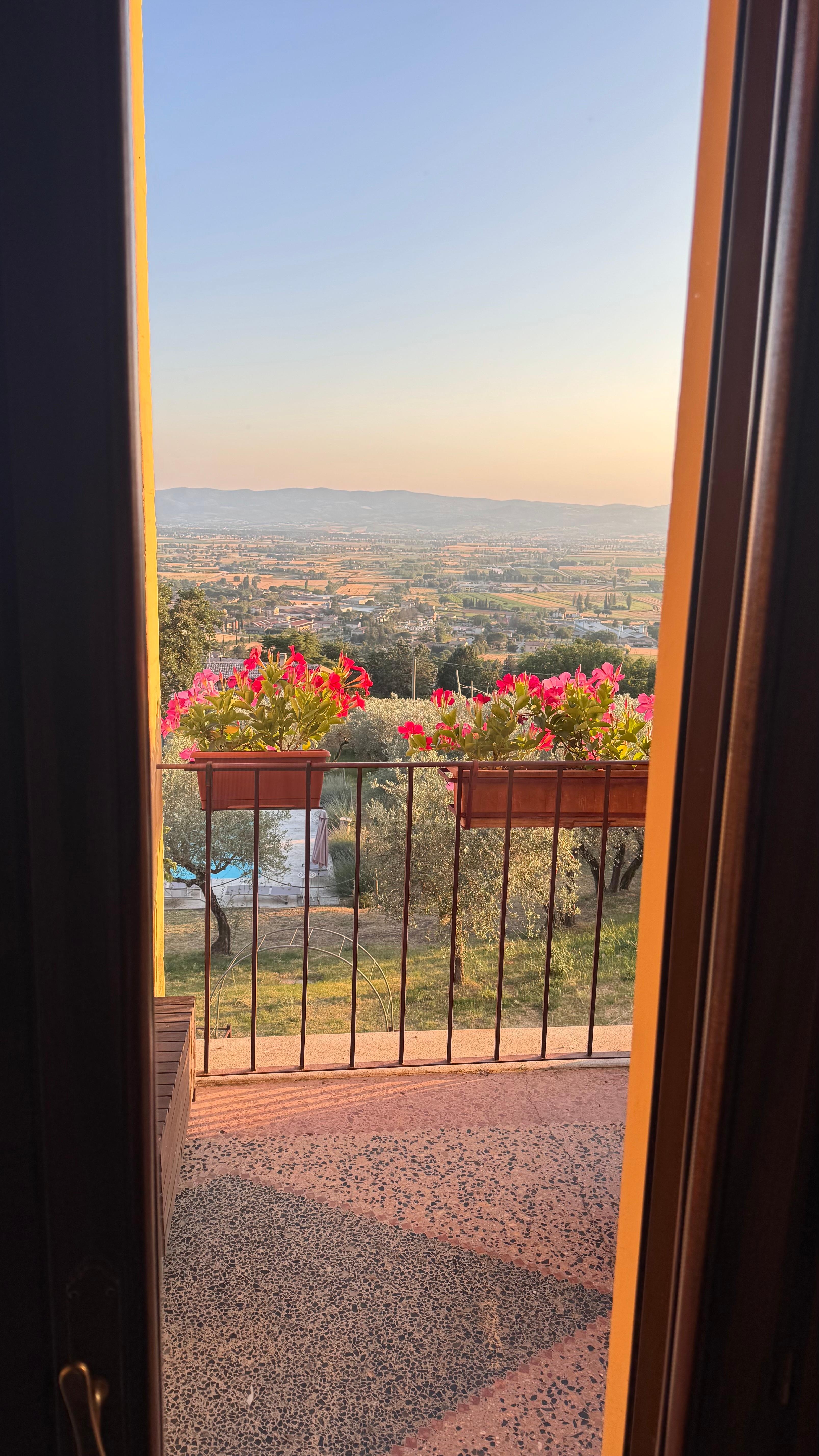 Blick aus dem Zimmer