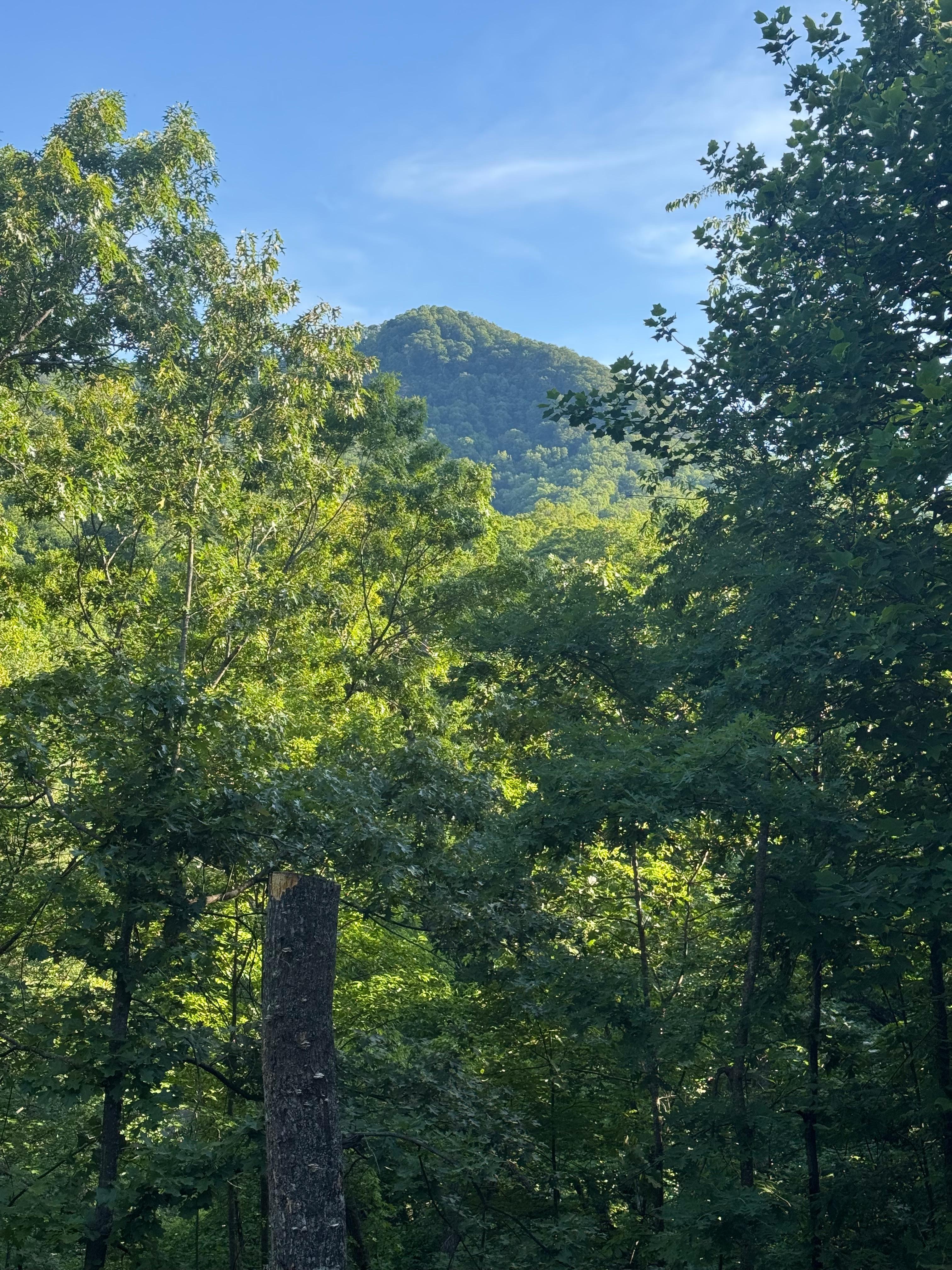 Beautiful views from the cabin.