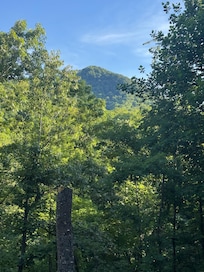 Beautiful views from the cabin.