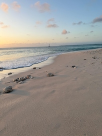 early morning walk on the beach