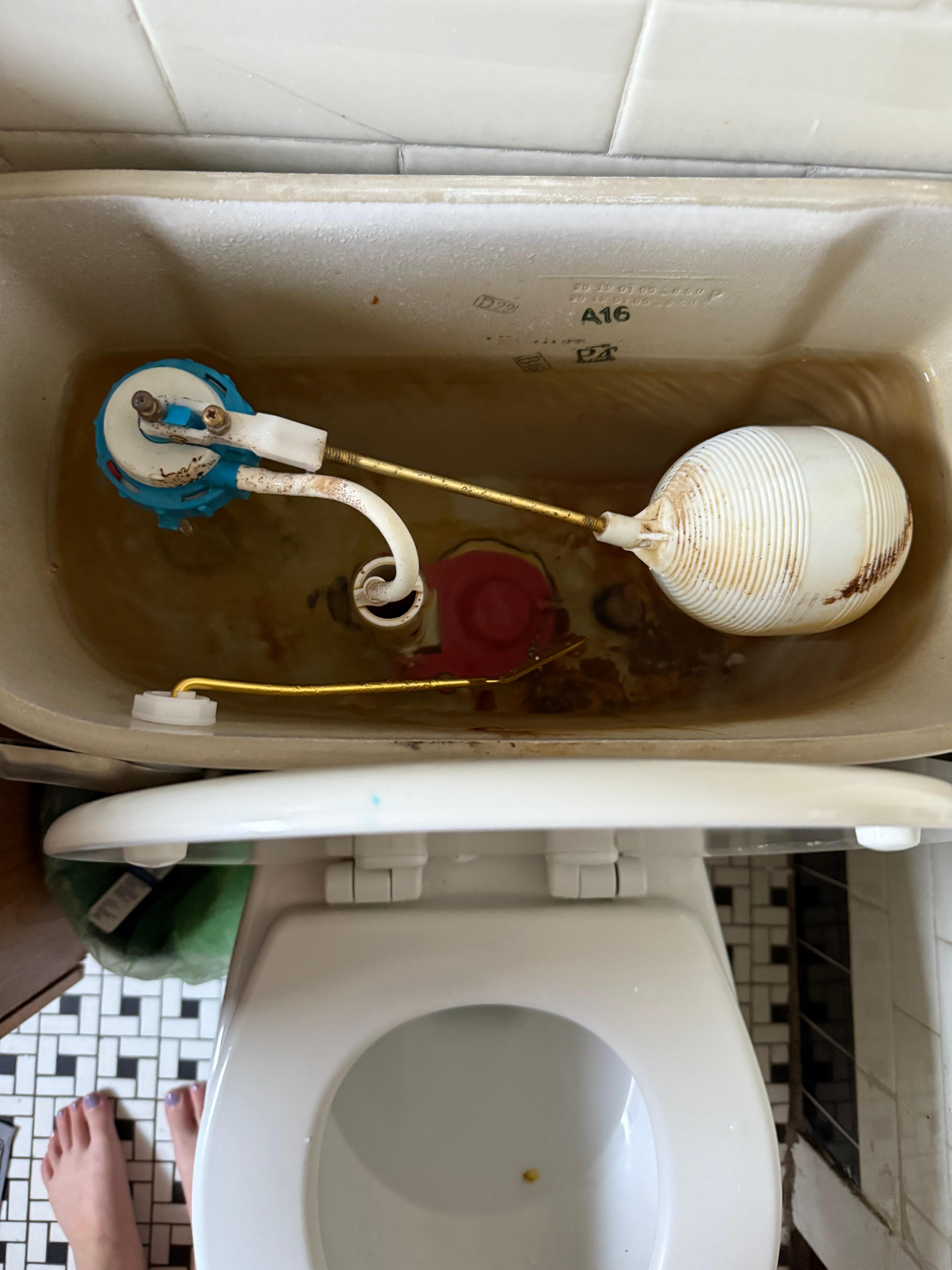 The condition of the toilet that we had to manually fix to get it to flush.