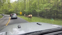 On our way to Delauder’s BBQ