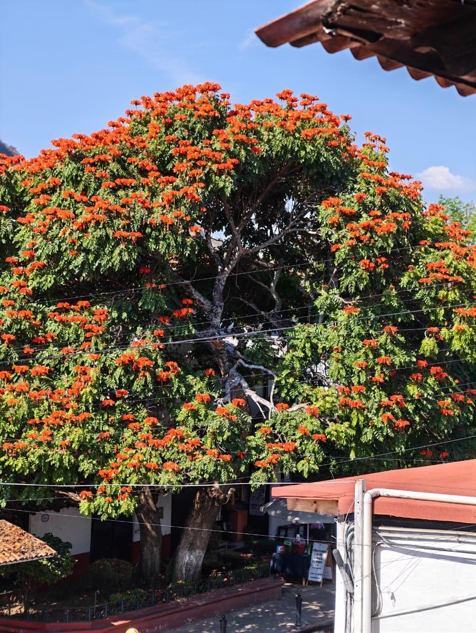Es la vista de la terraza del hotel!