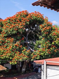 Es la vista de la terraza del hotel!