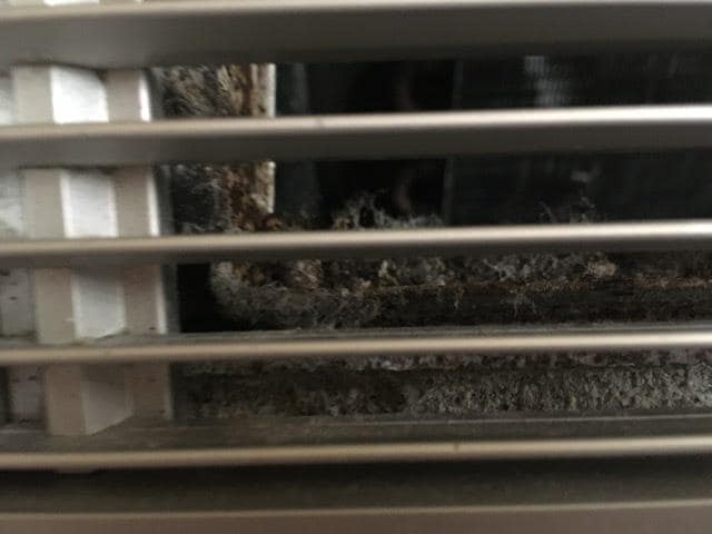 Filthy air conditioner vent; not a healthy situation