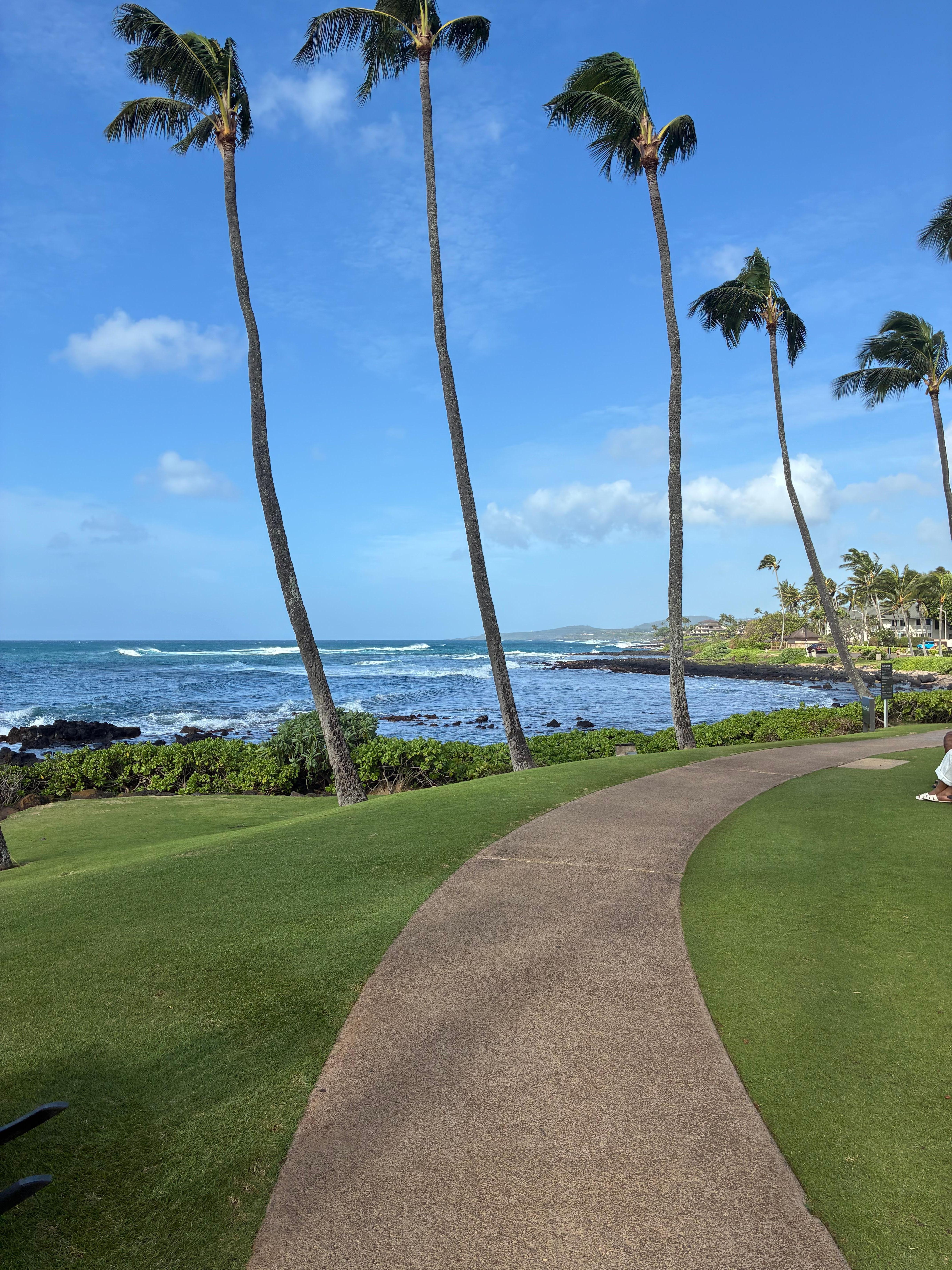 Easy access to the beaches