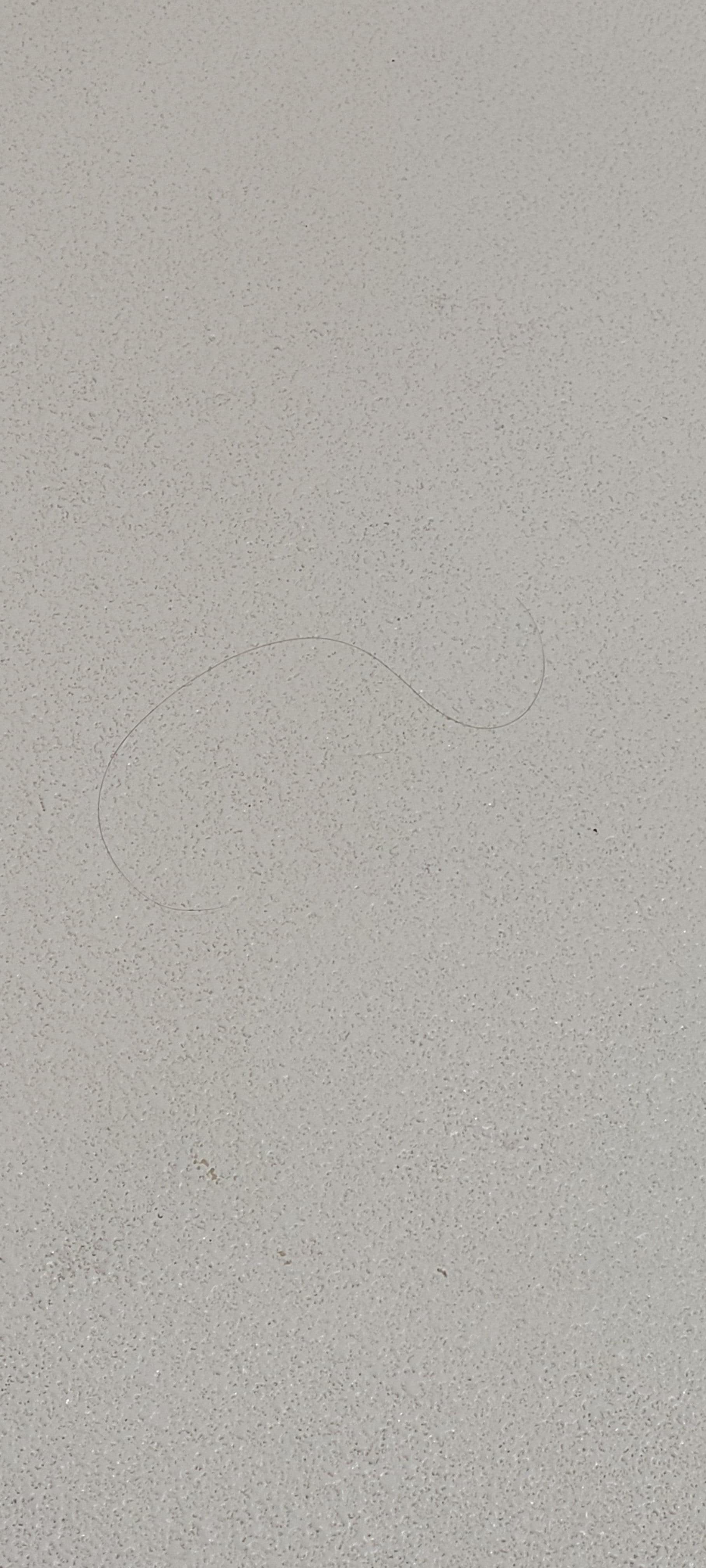 Hairs, hairs everywhere 