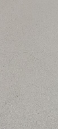 Hairs, hairs everywhere