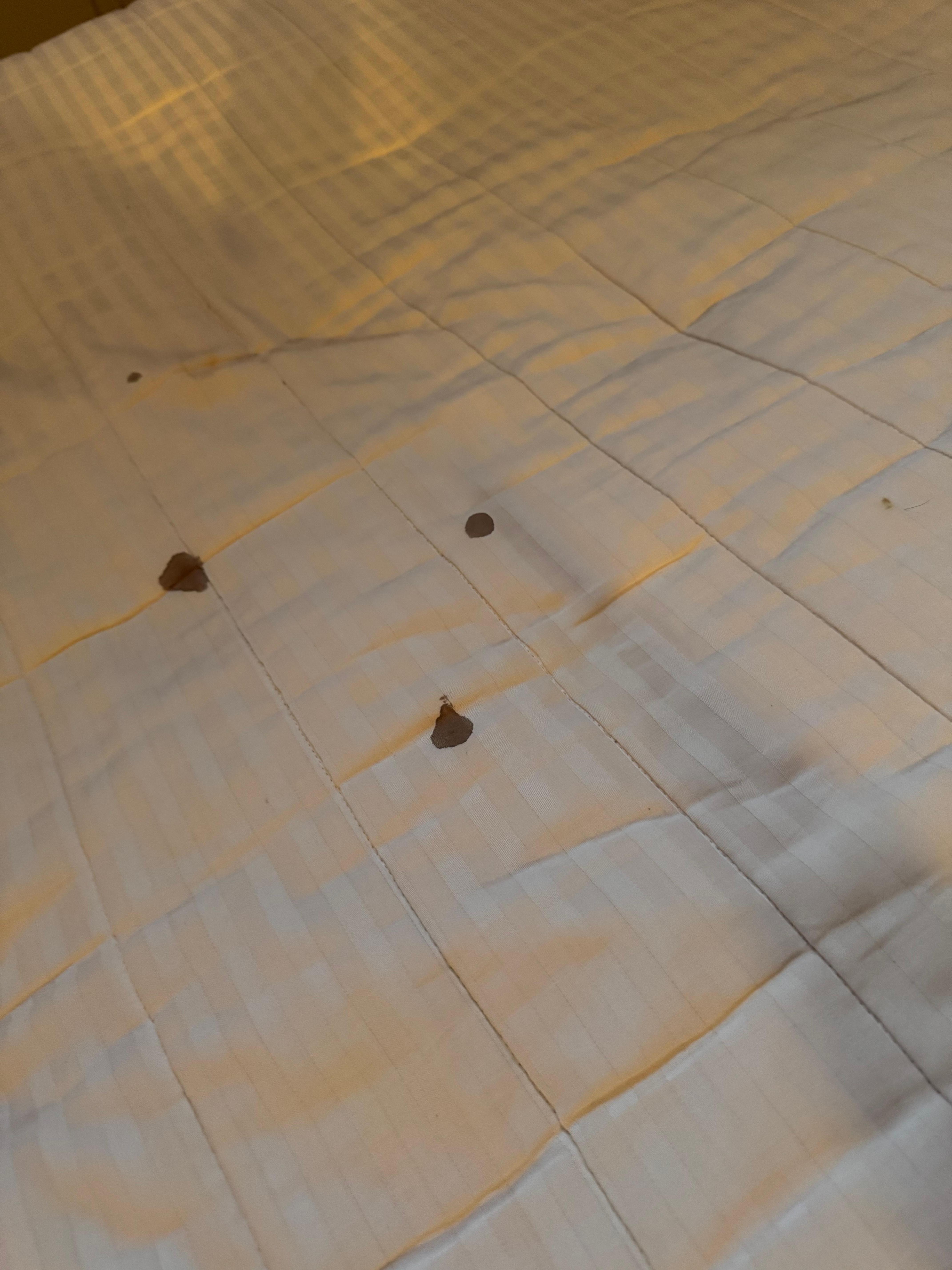 Blood stains on the master bed mattress. 