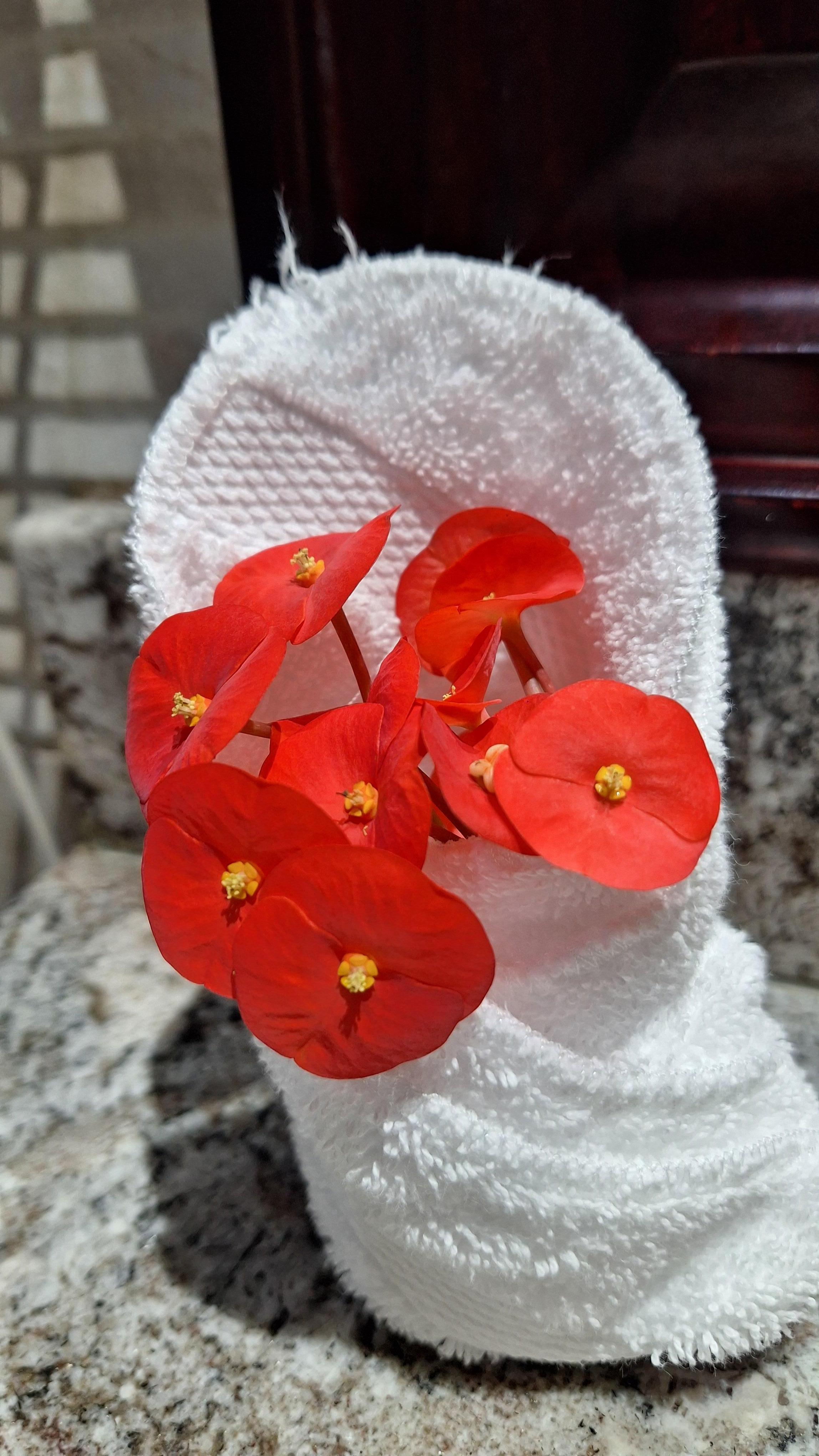 Cuando realizaban limpieza nos dejaban detalles así 