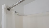 Mold around bathroom shower surround covered over with paint.