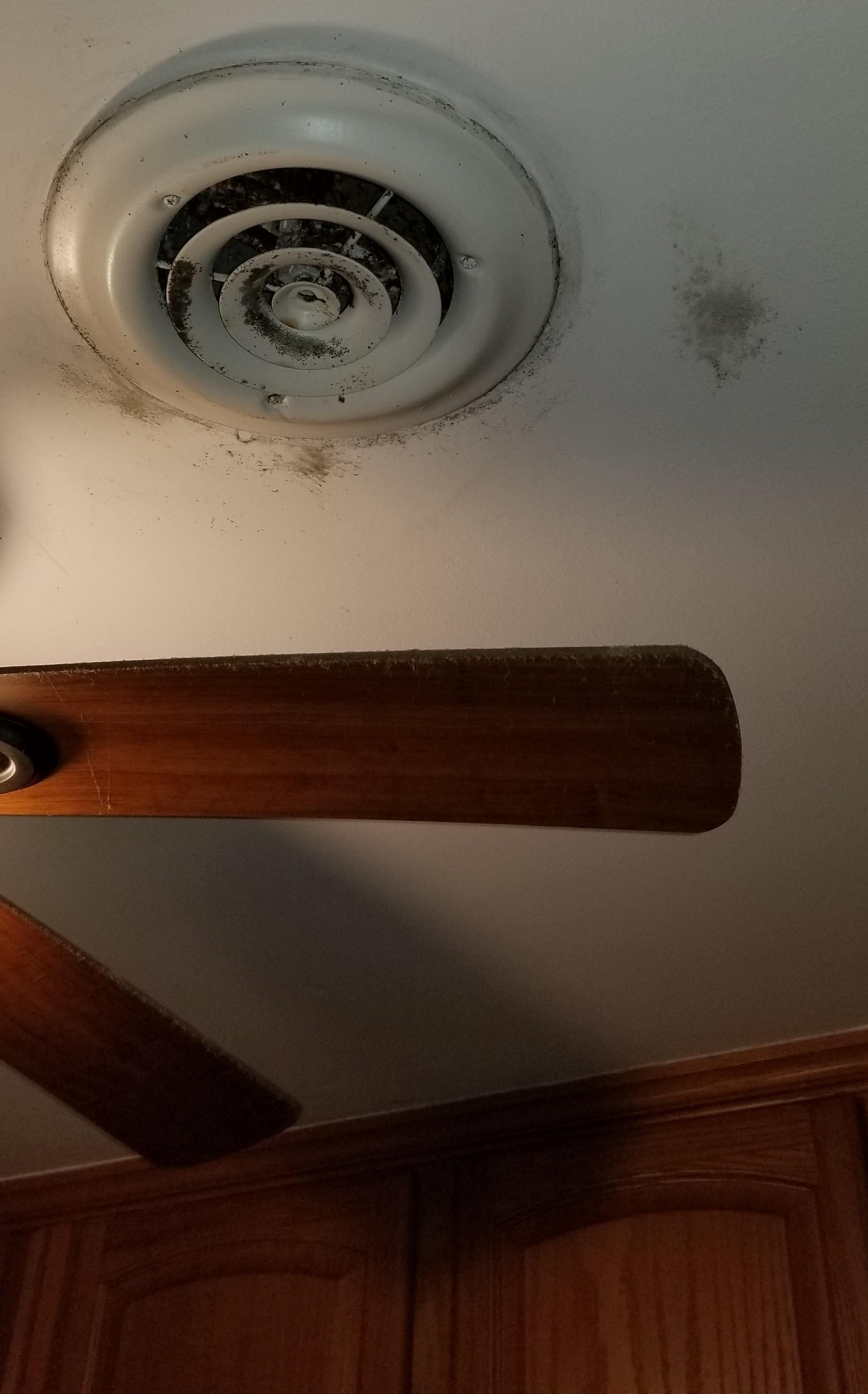 Black mold and dirt around the kitchen vent.