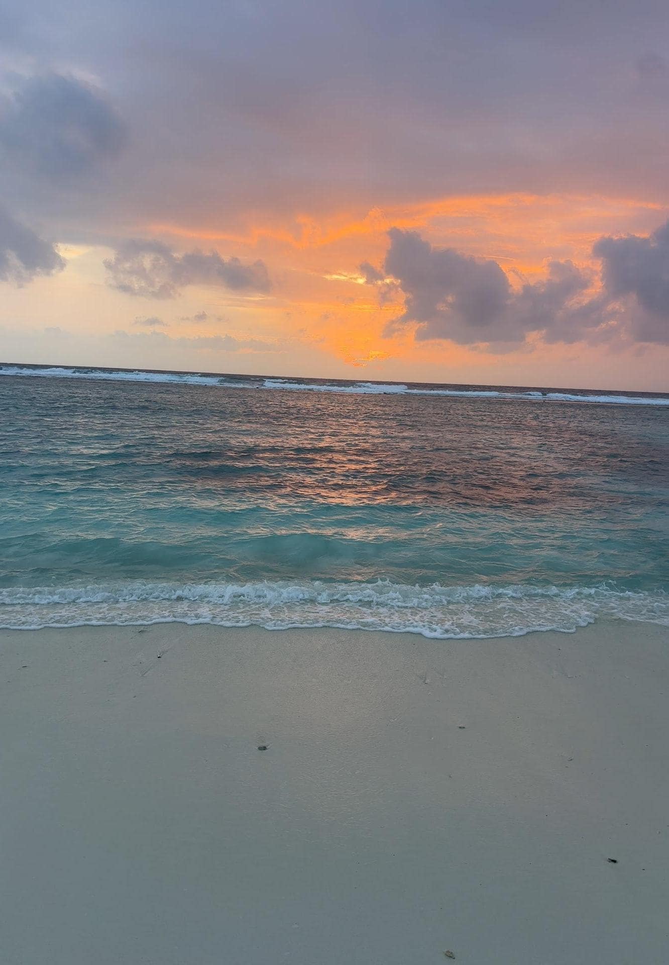 Beach right in front of hotel