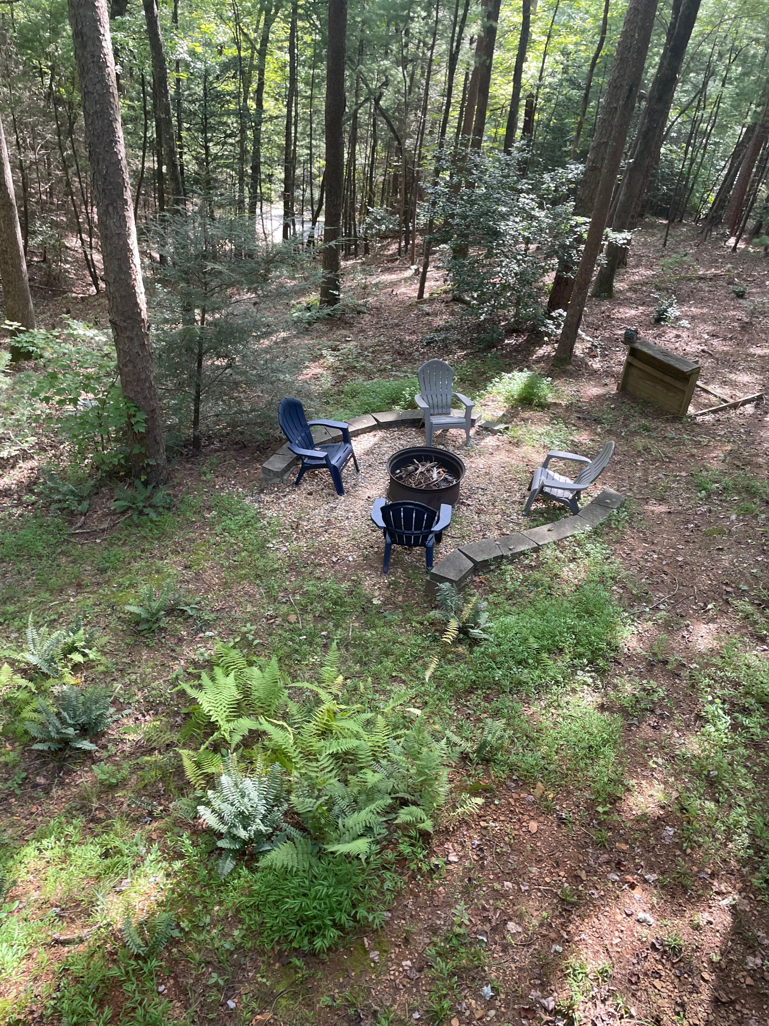 The wonderful backyard!