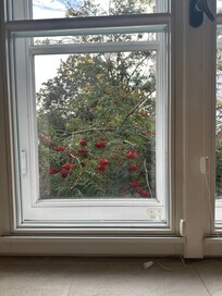 A state of the art bathroom with a window view