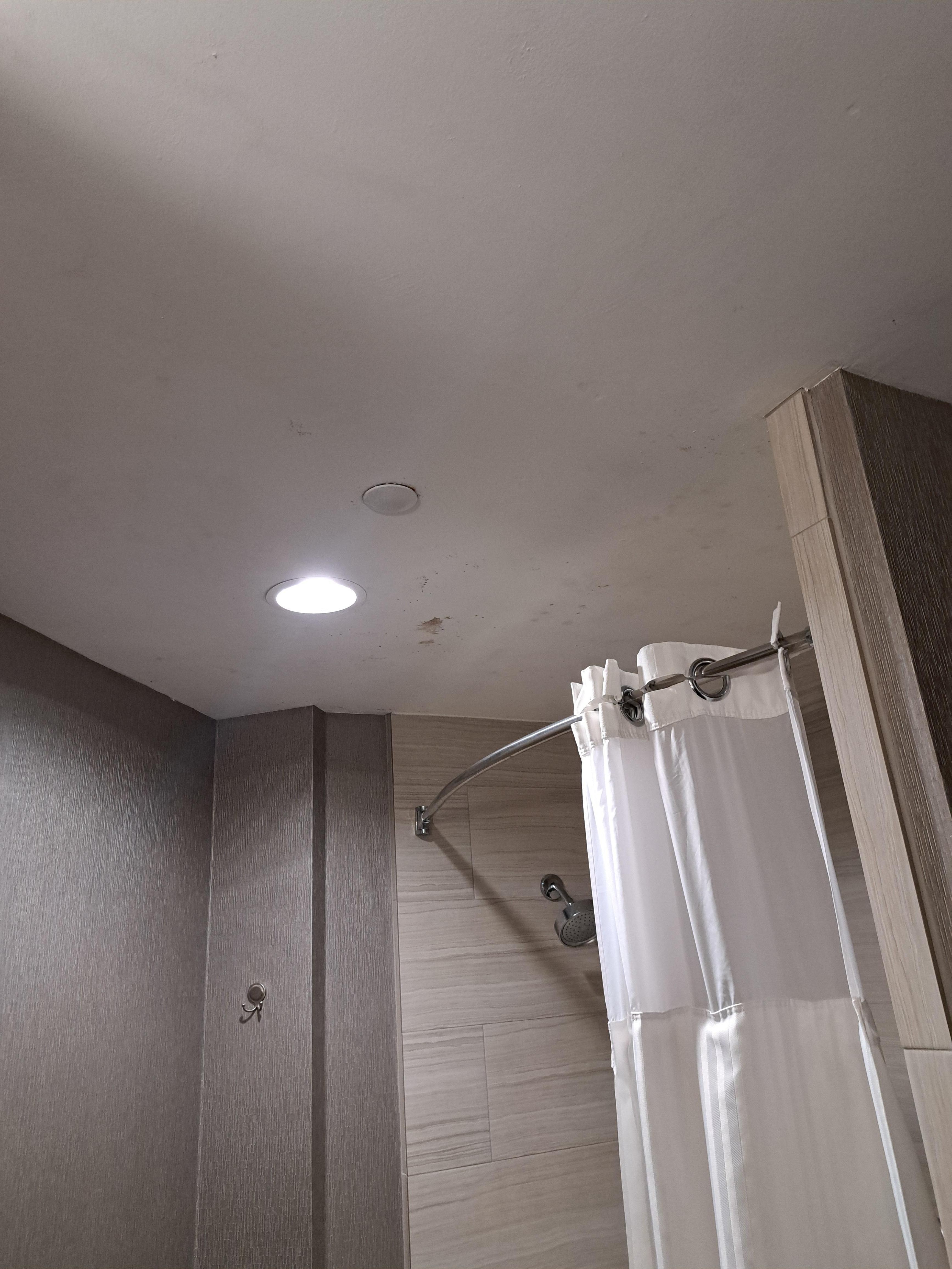 Mold on bathroom ceiling 