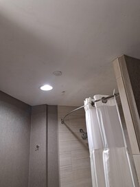 Mold on bathroom ceiling