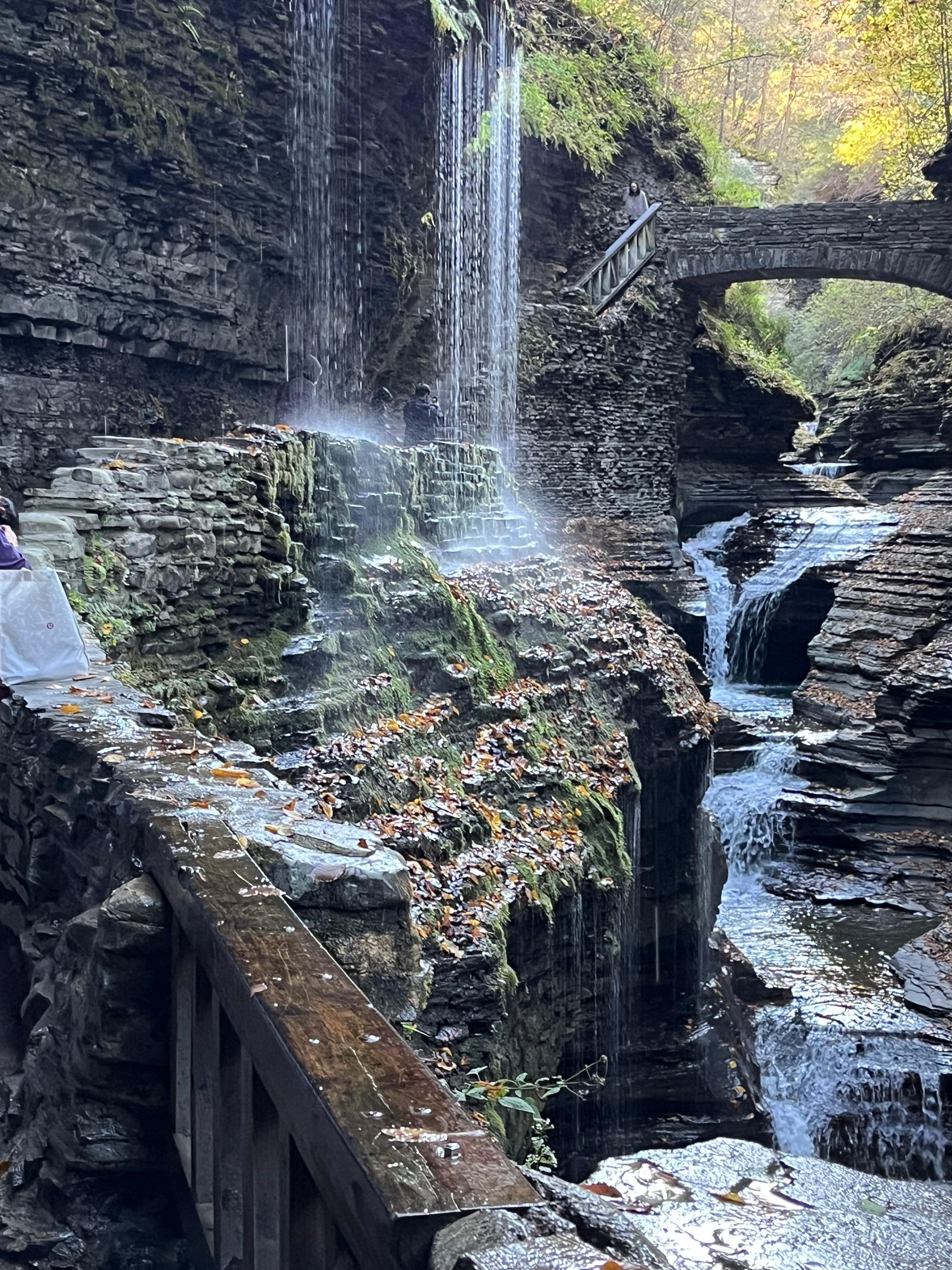 Watkins Glen hike