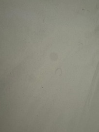 Hairs and bodily fluids