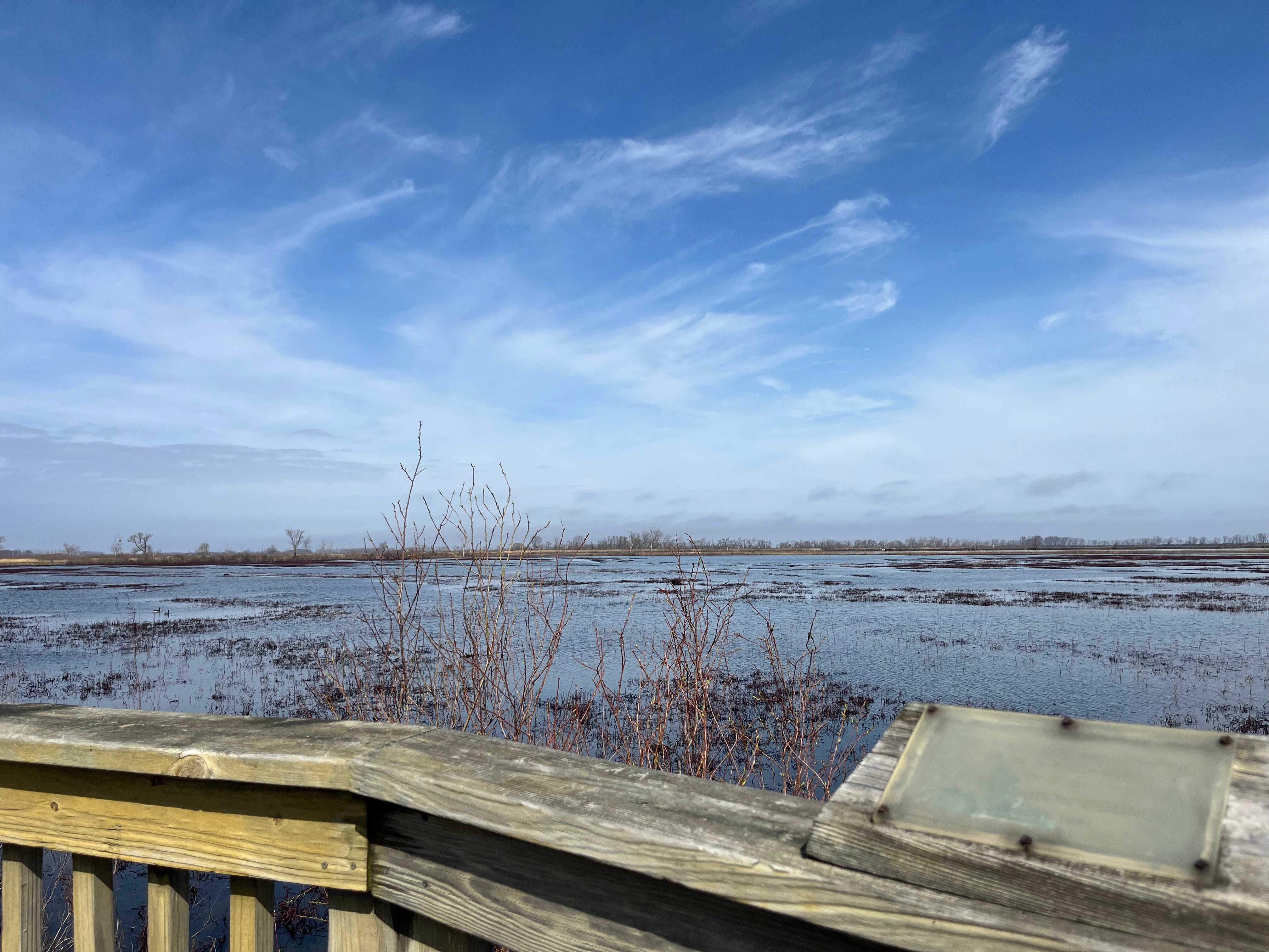 Observation deck at Ottawa wildlife park 