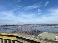 Observation deck at Ottawa wildlife park