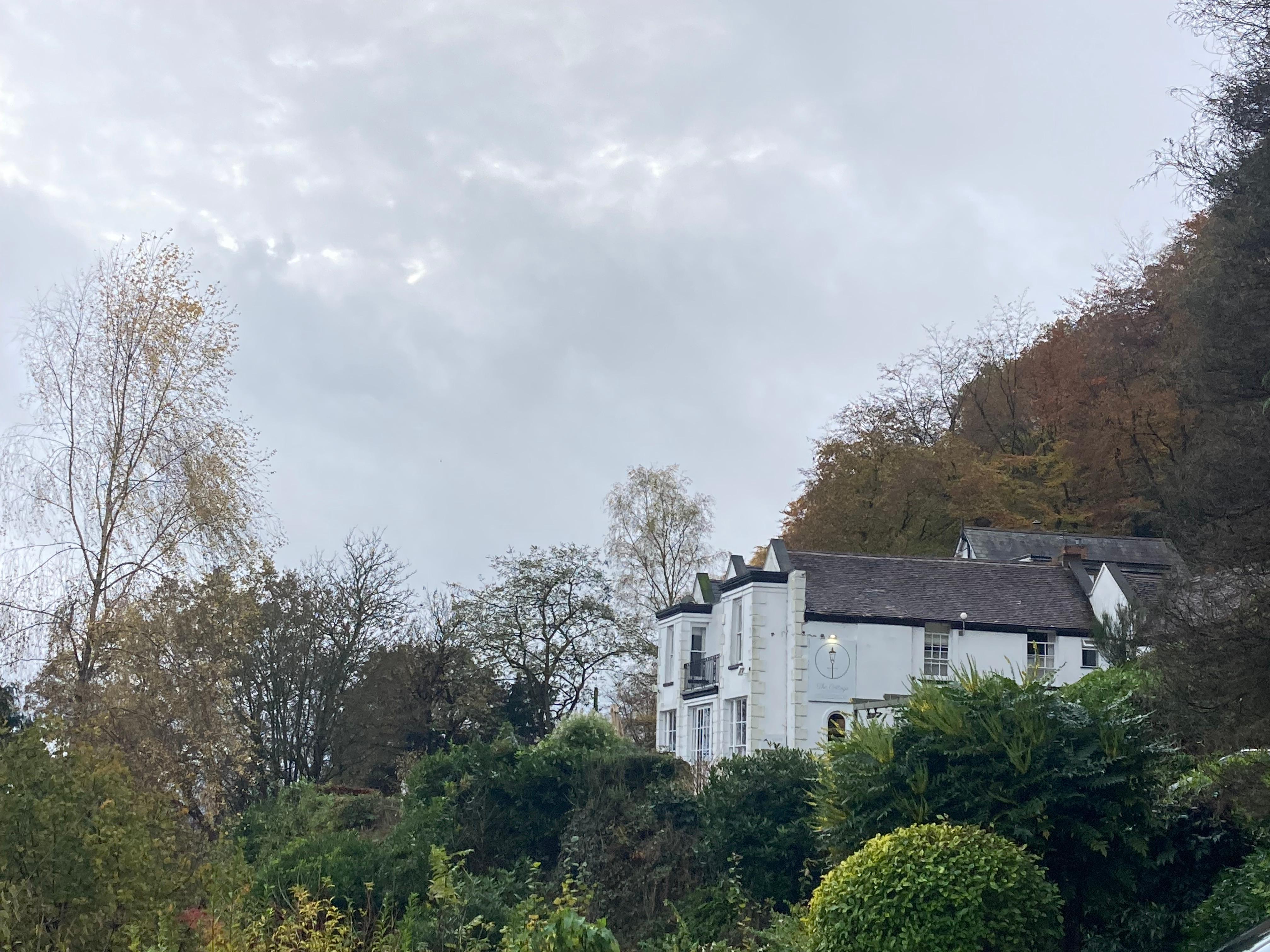 Cottage in the Wood Main House