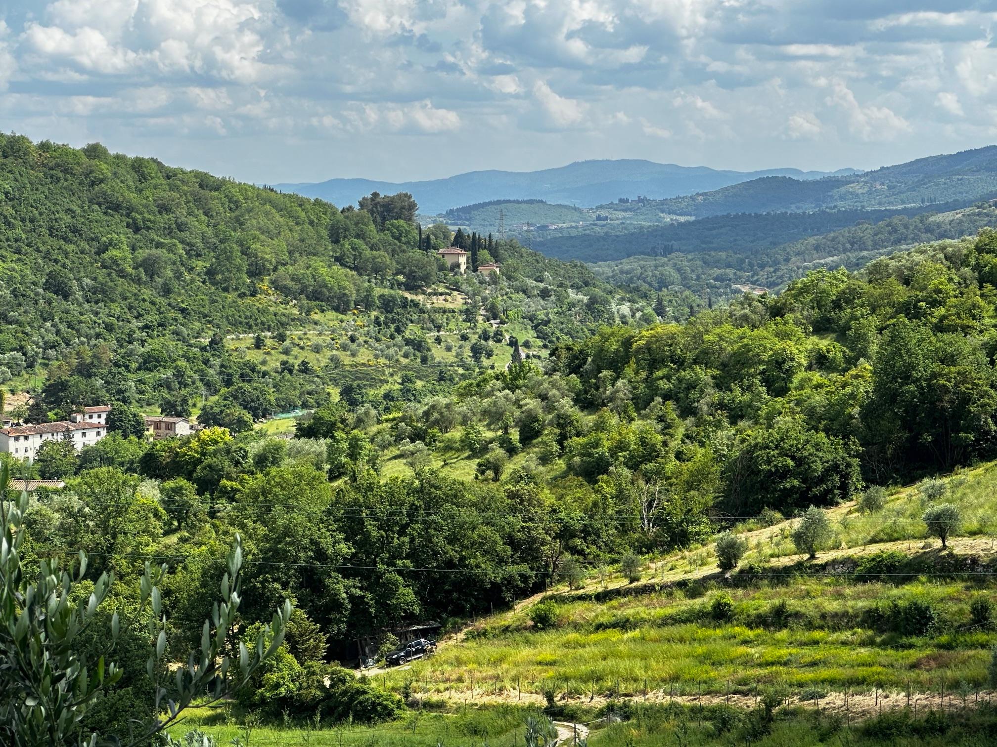 The surrounding lush landscape