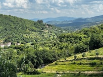 The surrounding lush landscape