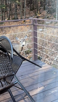 Peaceful morning coffee spot
Enjoyed our coffee while watching deer walk right past the sliding glass door — absolute magic!