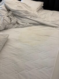 Stained mattress cover.