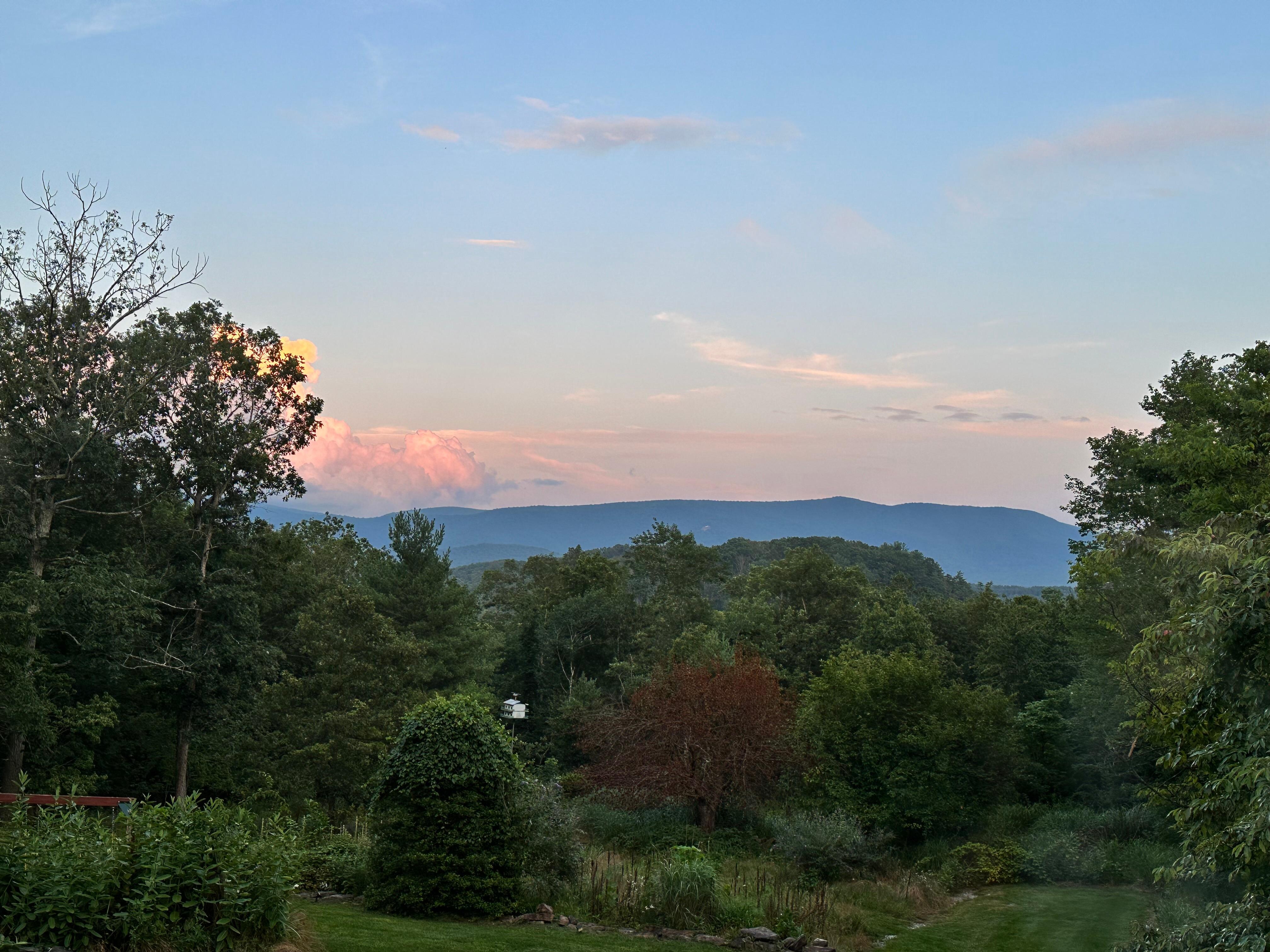 The view around sunset