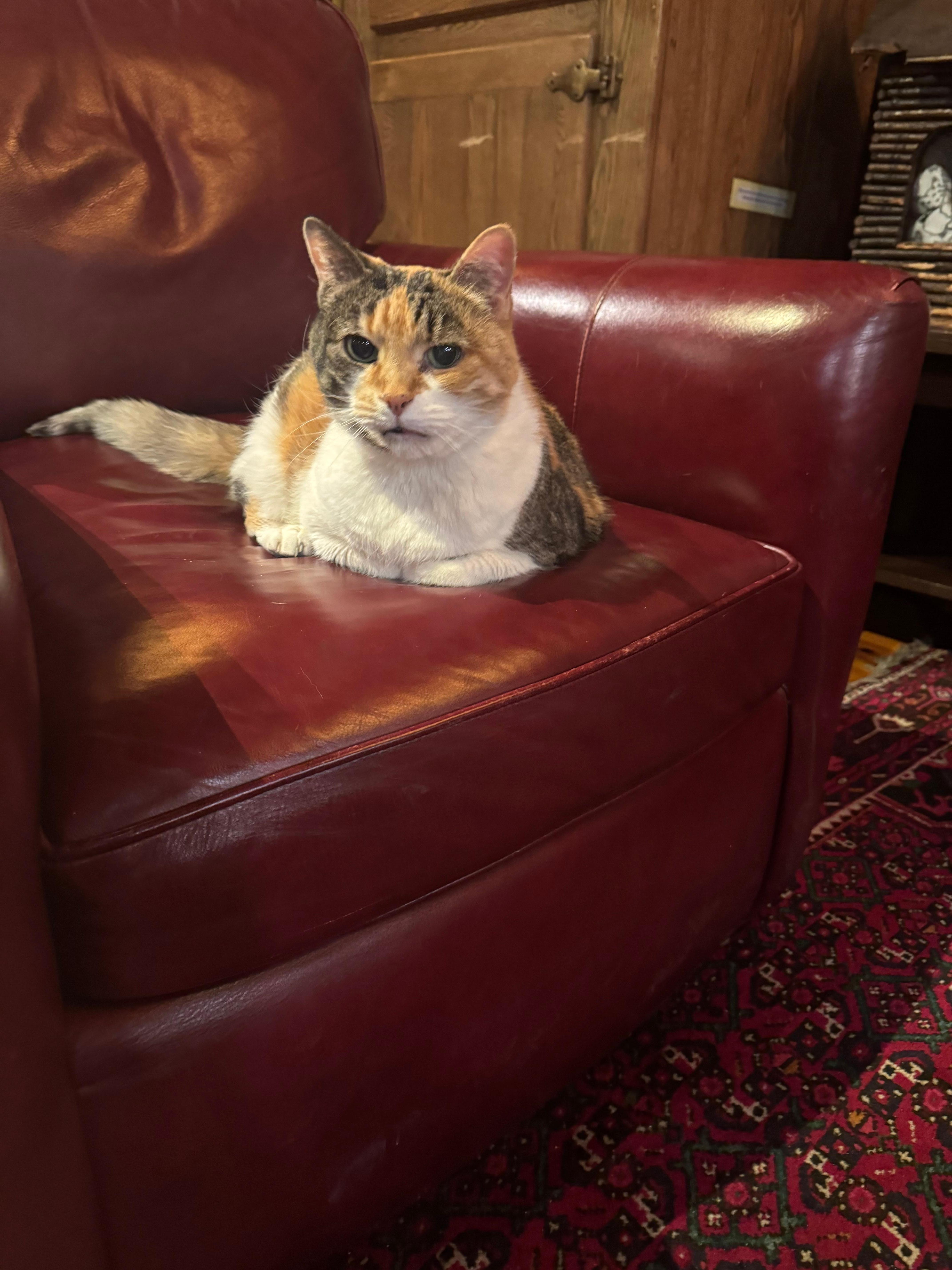 And the hotel car was a sweet surprise!