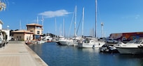 The marina